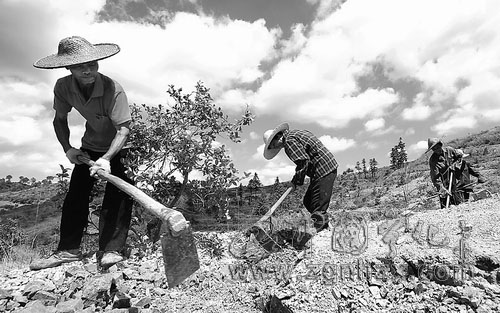 寧化：加快水保項目建設進度