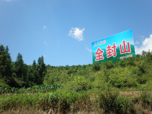 寧化：水土流失區全面實行封山育林