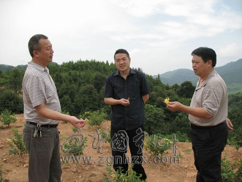 縣領導到濟村鄉督導村委會換屆工作