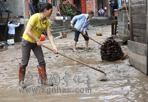 寧化水茜鄉組織干部群眾清淤泥