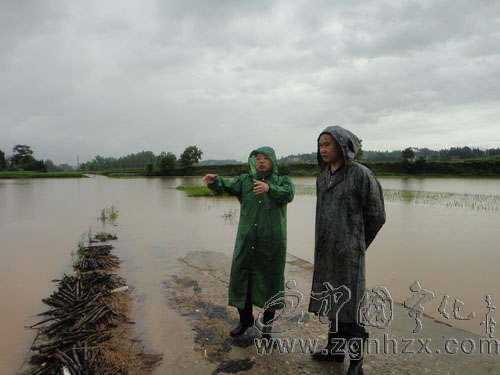 淮土鄉干群全力抗災自救
