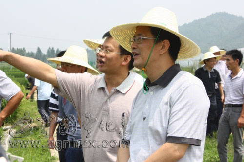 市委書記黃琪玉昨日來寧調研