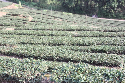 寧化：31.5萬元獎勵創名牌企業及幫扶機構