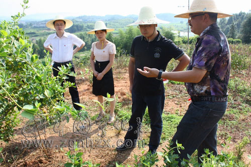 團市委書記廖衛(wèi)國來寧調(diào)研團建工作