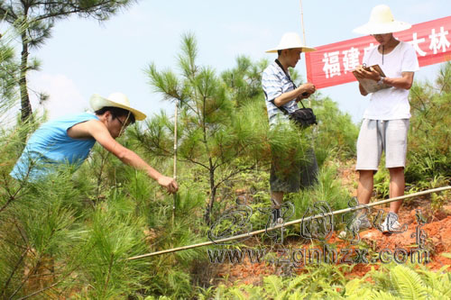 寧化：林學院專家為企業(yè)“把脈問診”