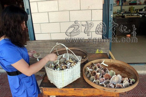 濟村：采菇正當時，食用需謹慎