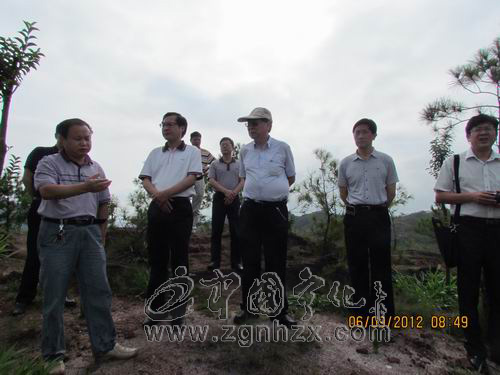 中國工程院院士盧耀如來寧化考察