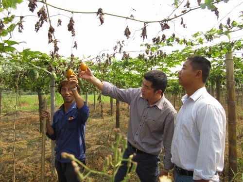 肖秀沐到泉上調(diào)研“雙承諾”制度落實(shí)情況