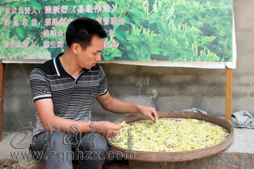 闖蕩市場的年輕人