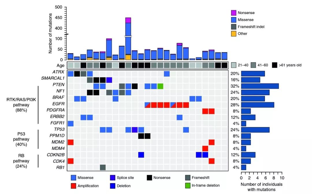 泛生子團隊成功繪制惡性腦腫瘤基因圖譜 