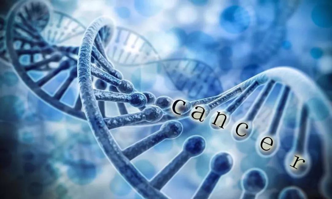 缺一不可，基因體檢和普通體檢不沖突 