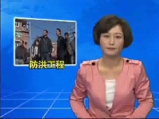 我縣兩個防洪工程通過省專家組竣工驗收