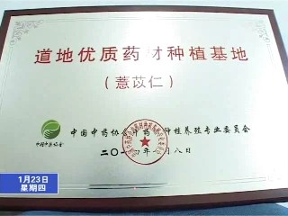 寧化薏米基地獲評“道地優質藥材種植基地”