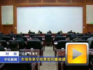市領導來寧檢查黨風廉政建設工作