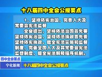 十八屆四中全會公報要點