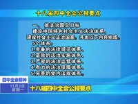 十八屆四中全會公報要點