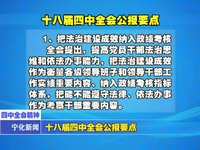 十八屆四中全會公報要點