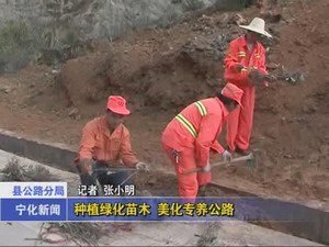 種植綠化苗木  美化專養公路