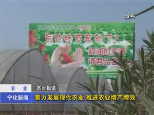 著力發(fā)展現(xiàn)代農(nóng)業(yè)  推進(jìn)農(nóng)業(yè)增產(chǎn)增收