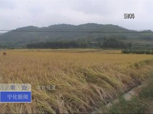 我縣出臺(tái)加快農(nóng)業(yè)現(xiàn)代化發(fā)展實(shí)施意見(jiàn)