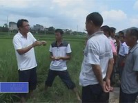 河龍貢米種植戶精準(zhǔn)“充電”