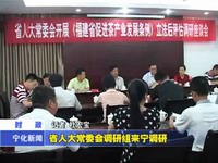 省人大常委會(huì)調(diào)研組來寧調(diào)研