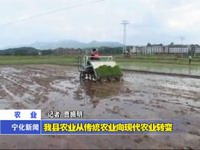 我縣農業從傳統農業向現代農業轉變