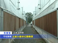 土地入股分紅助脫貧