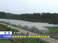 我縣精準扶貧小額信貸擔保正式啟動
