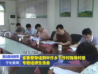 省委督導(dǎo)組到中沙鄉(xiāng)下沙村指導(dǎo)村級(jí)專題組織生活會(huì)