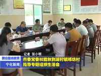 市委常委林能秋到湖村鎮(zhèn)鄧坊村指導(dǎo)專題組織生活會(huì)