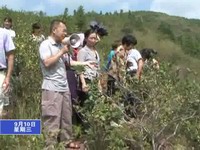 省“專家快車農(nóng)村行”寧化傳授油茶種植經(jīng)