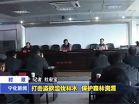 打擊盜砍濫伐林木 保護森林資源