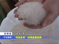 “河龍貢米”林博會(huì)受熱捧