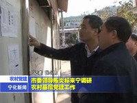 市委領(lǐng)導(dǎo)陳炎標(biāo)來寧調(diào)研農(nóng)村基層黨建工作