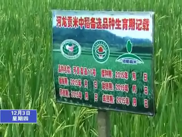 河龍貢米入選我市首批農(nóng)特產(chǎn)品十大龍頭品牌