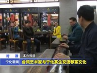臺(tái)灣藝術(shù)家與寧化茶企交流琴茶文化