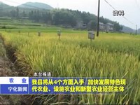我縣將從4個方面入手，加快發展特色現代農業、設施農業和新型農業經營主體