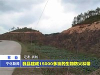 我縣建成15000多畝生物防火林帶