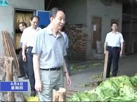 省煙草公司領(lǐng)導(dǎo)來寧調(diào)研指導(dǎo)災(zāi)后烤煙生產(chǎn)