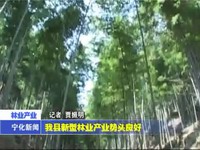 我縣新型林業(yè)產(chǎn)業(yè)勢(shì)頭良好
