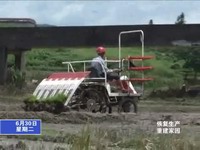 石壁：全面開展災后生產自救 重建家園