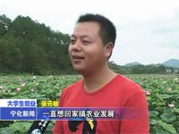 張?jiān)簦夯剜l(xiāng)務(wù)勞 種植蓮子