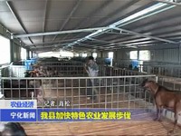 我縣加快特色農業發展步伐