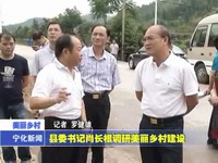縣委書記肖長根調研美麗鄉村建設