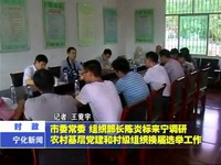 市委常委、組織部長陳炎標來寧調研農村基層黨建和村級組織換屆選舉工作