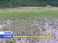 我縣開始發放200萬元災后糧補資金