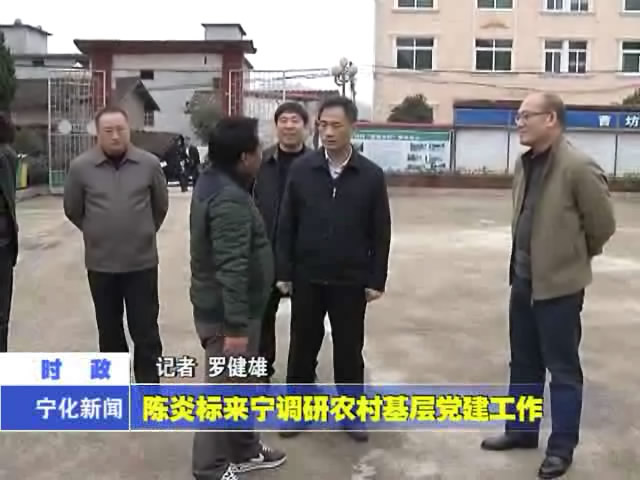陳炎標來寧調研農村基層黨建工作