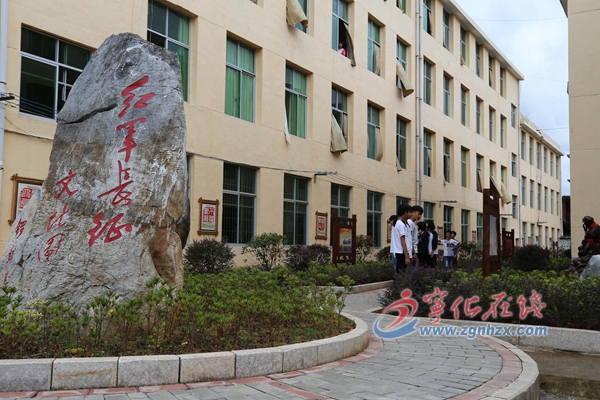 映山紅花開 朵朵放光彩