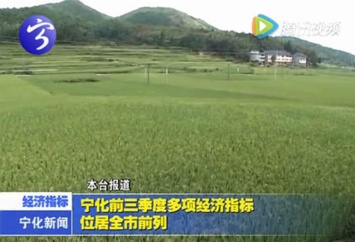 寧化前三季度多項(xiàng)經(jīng)濟(jì)指標(biāo)位居全市前列